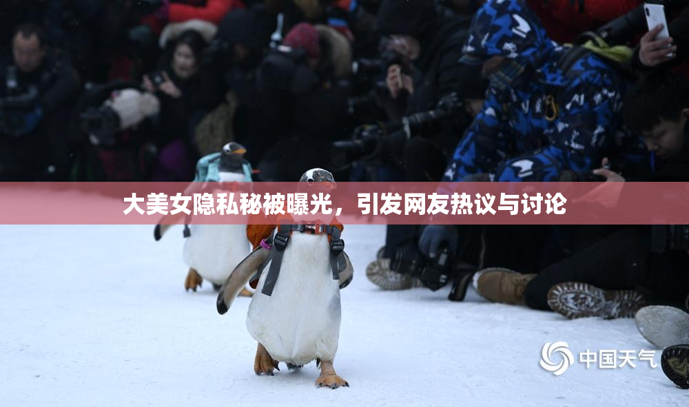 大美女隐私秘被曝光，引发网友热议与讨论