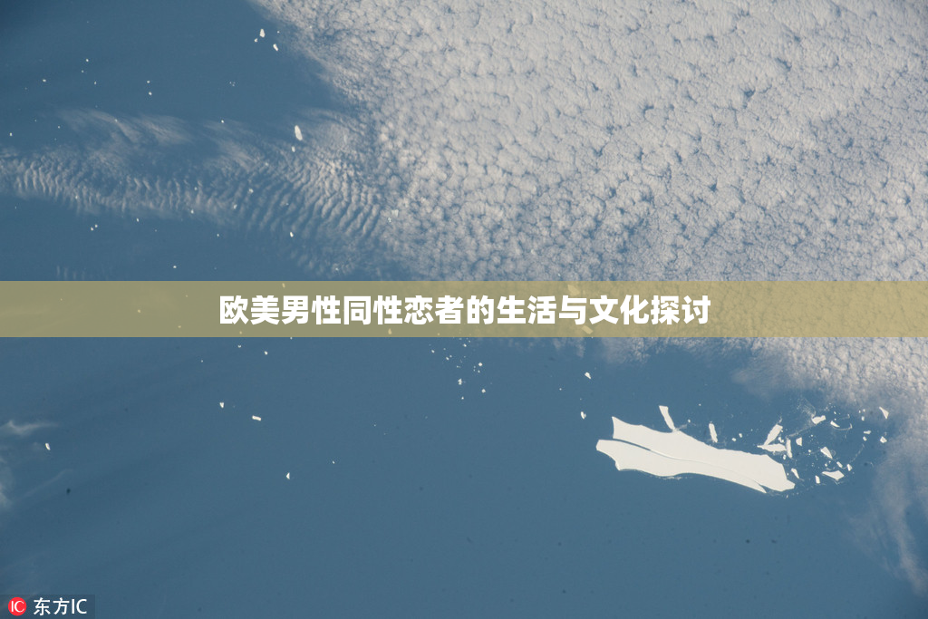 欧美男性同性恋者的生活与文化探讨