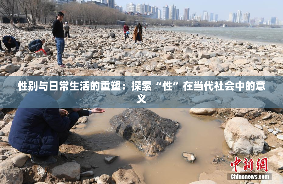 性别与日常生活的重塑：探索“性”在当代社会中的意义