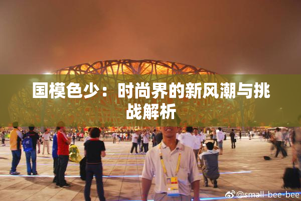 国模色少：时尚界的新风潮与挑战解析