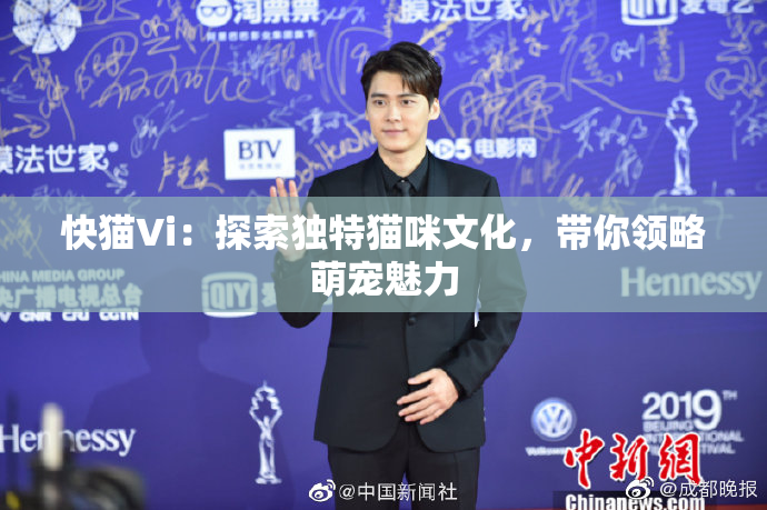 快猫Vi：探索独特猫咪文化，带你领略萌宠魅力