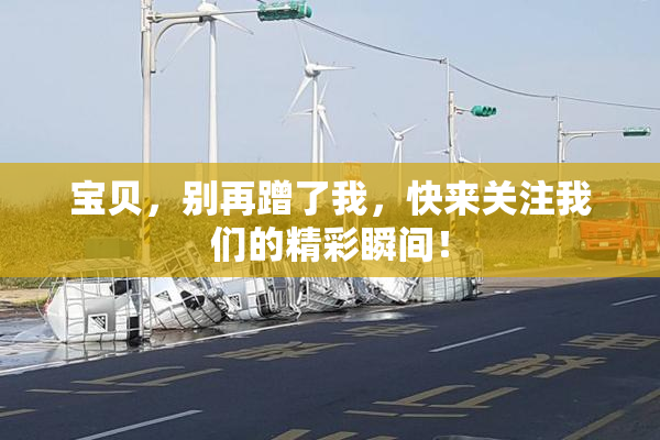 宝贝，别再蹭了我，快来关注我们的精彩瞬间！