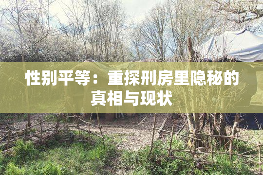 性别平等：重探刑房里隐秘的真相与现状