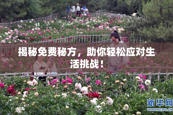 揭秘免费秘方，助你轻松应对生活挑战！