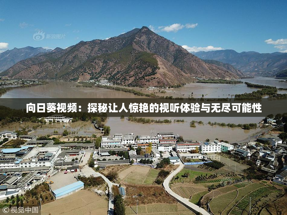 向日葵视频：探秘让人惊艳的视听体验与无尽可能性