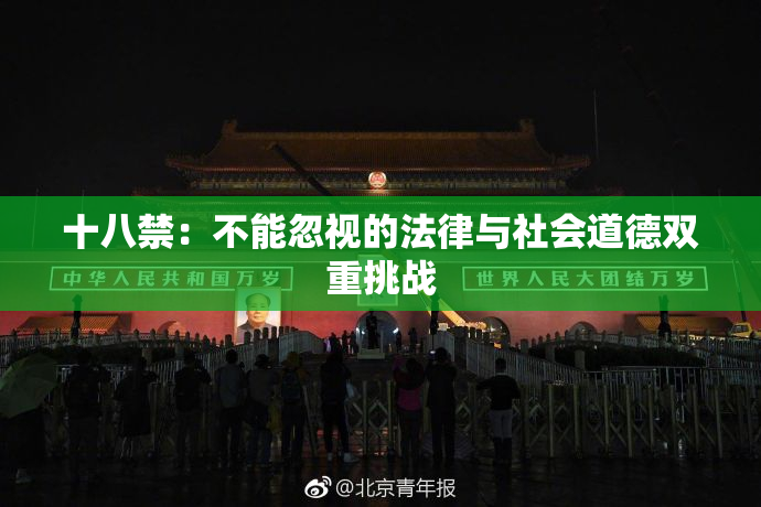 十八禁：不能忽视的法律与社会道德双重挑战