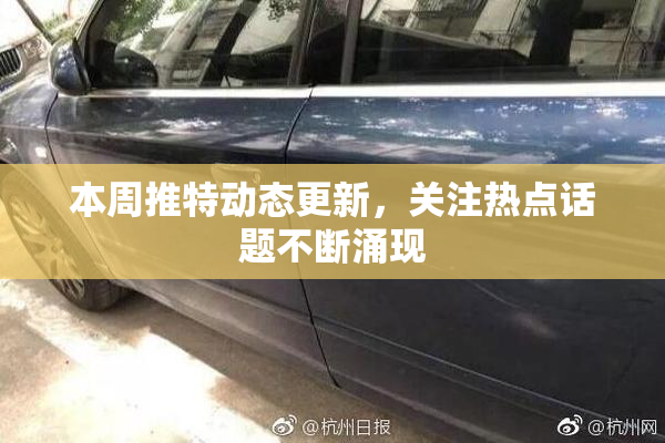 本周推特动态更新，关注热点话题不断涌现