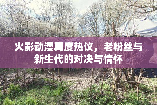 火影动漫再度热议，老粉丝与新生代的对决与情怀