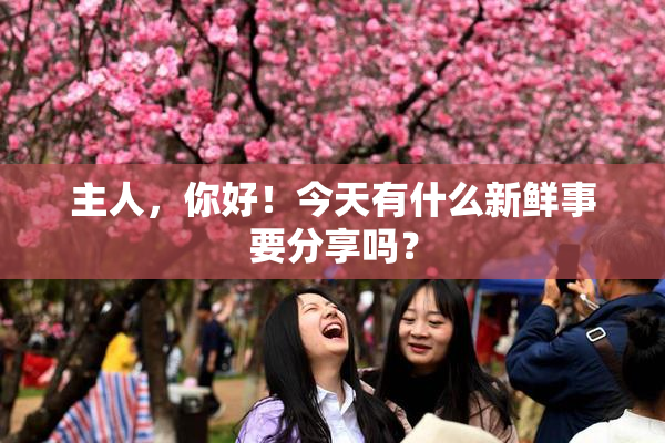 主人，你好！今天有什么新鲜事要分享吗？