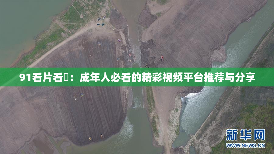 91看片看婬：成年人必看的精彩视频平台推荐与分享