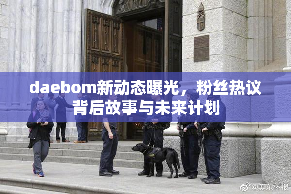 daebom新动态曝光，粉丝热议背后故事与未来计划