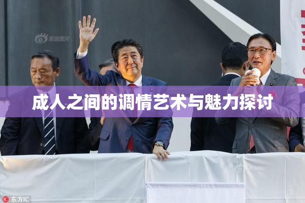 成人之间的调情艺术与魅力探讨