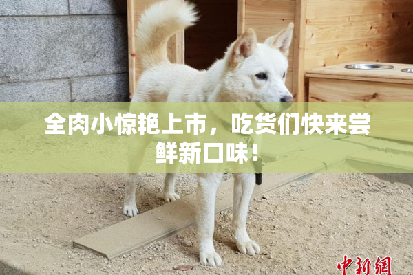 全肉小惊艳上市，吃货们快来尝鲜新口味！