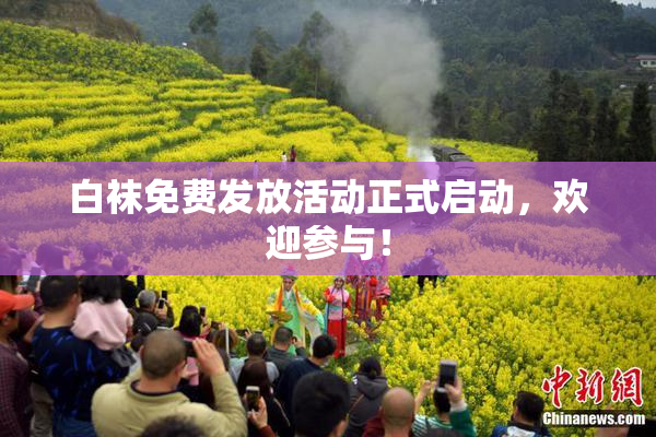 白袜免费发放活动正式启动，欢迎参与！