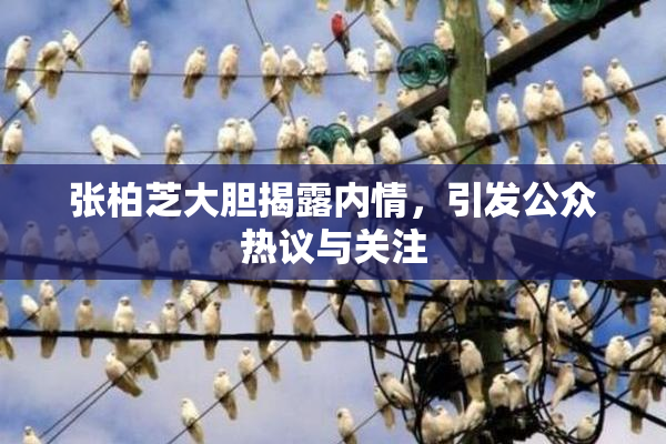 张柏芝大胆揭露内情，引发公众热议与关注