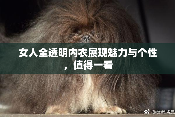 女人全透明内衣展现魅力与个性，值得一看