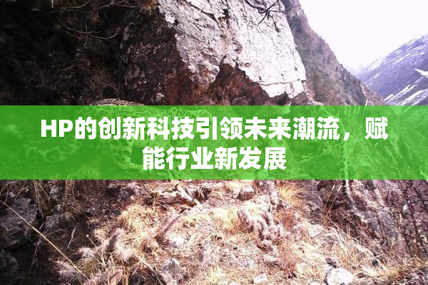 HP的创新科技引领未来潮流，赋能行业新发展