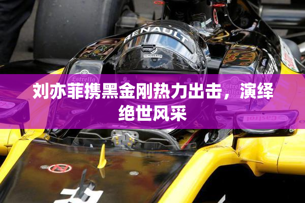 刘亦菲携黑金刚热力出击，演绎绝世风采