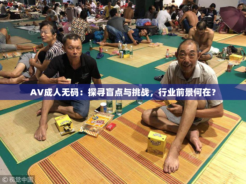 AV成人无码：探寻盲点与挑战，行业前景何在？