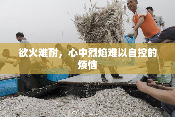 欲火难耐，心中烈焰难以自控的烦恼