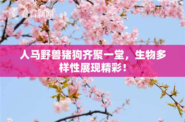 人马野兽猪狗齐聚一堂，生物多样性展现精彩！