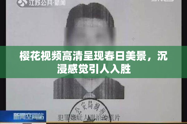 樱花视频高清呈现春日美景，沉浸感觉引人入胜