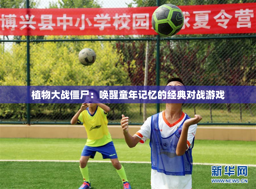 植物大战僵尸：唤醒童年记忆的经典对战游戏