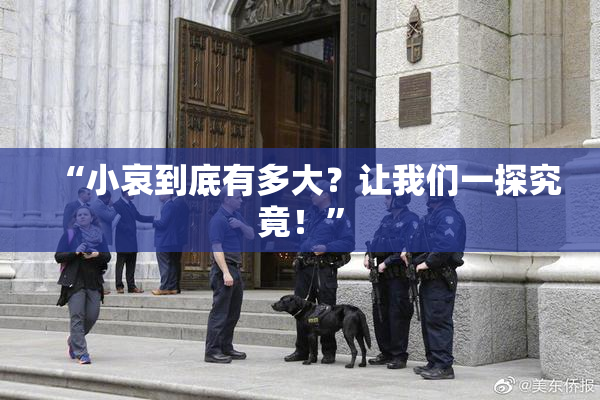 “小哀到底有多大？让我们一探究竟！”