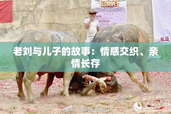 老刘与儿子的故事：情感交织、亲情长存