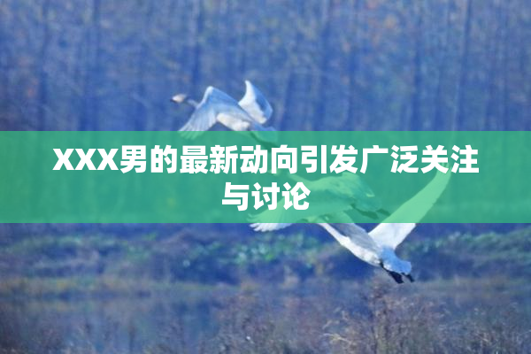 XXX男的最新动向引发广泛关注与讨论