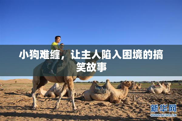 小狗难缠，让主人陷入困境的搞笑故事
