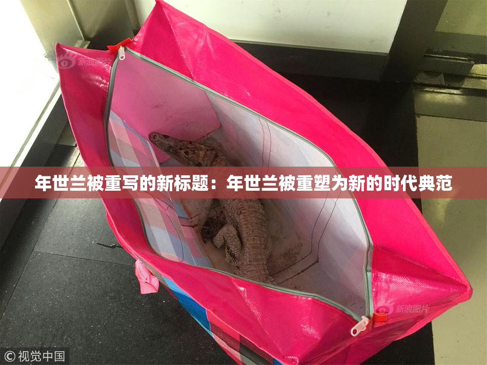 年世兰被重写的新标题：年世兰被重塑为新的时代典范