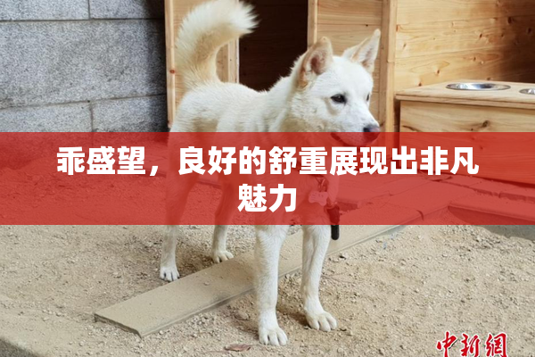 乖盛望，良好的舒重展现出非凡魅力