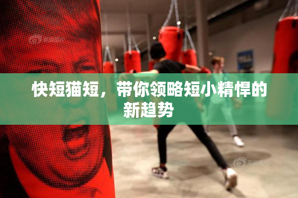 快短猫短，带你领略短小精悍的新趋势