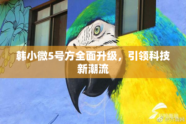 韩小微5号方全面升级，引领科技新潮流