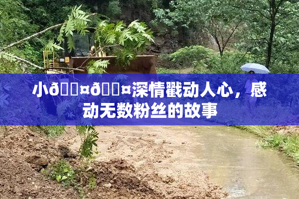 小🐤🐤深情戳动人心，感动无数粉丝的故事