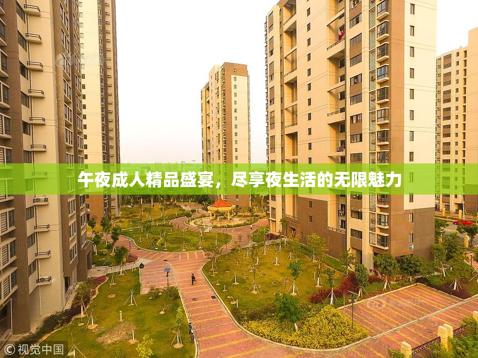 午夜成人精品盛宴，尽享夜生活的无限魅力