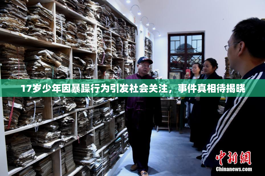 17岁少年因暴躁行为引发社会关注，事件真相待揭晓