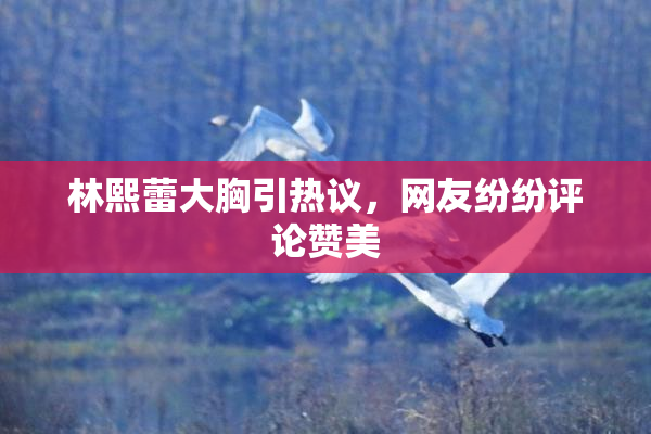 林熙蕾大胸引热议，网友纷纷评论赞美