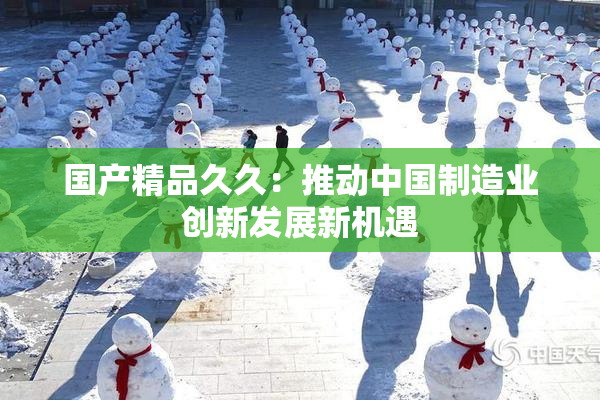 国产精品久久：推动中国制造业创新发展新机遇