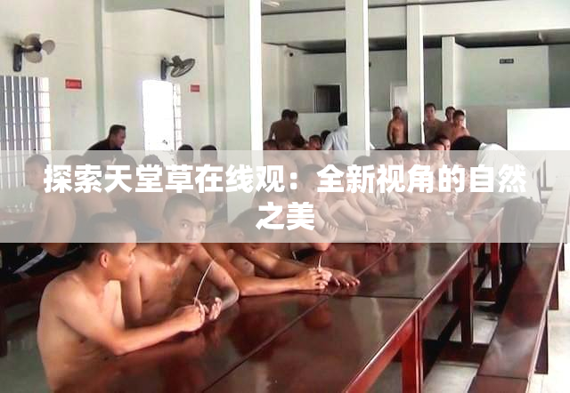 探索天堂草在线观：全新视角的自然之美