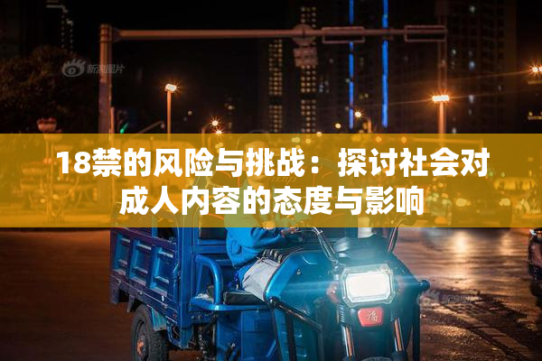 18禁的风险与挑战：探讨社会对成人内容的态度与影响