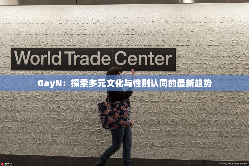 GayN：探索多元文化与性别认同的最新趋势