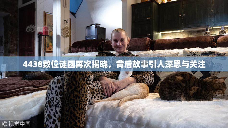 4438数位谜团再次揭晓，背后故事引人深思与关注