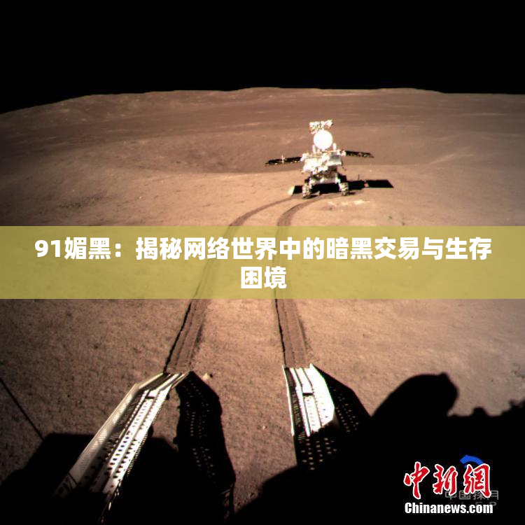 91媚黑：揭秘网络世界中的暗黑交易与生存困境