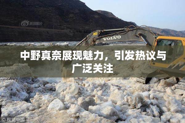 中野真奈展现魅力，引发热议与广泛关注