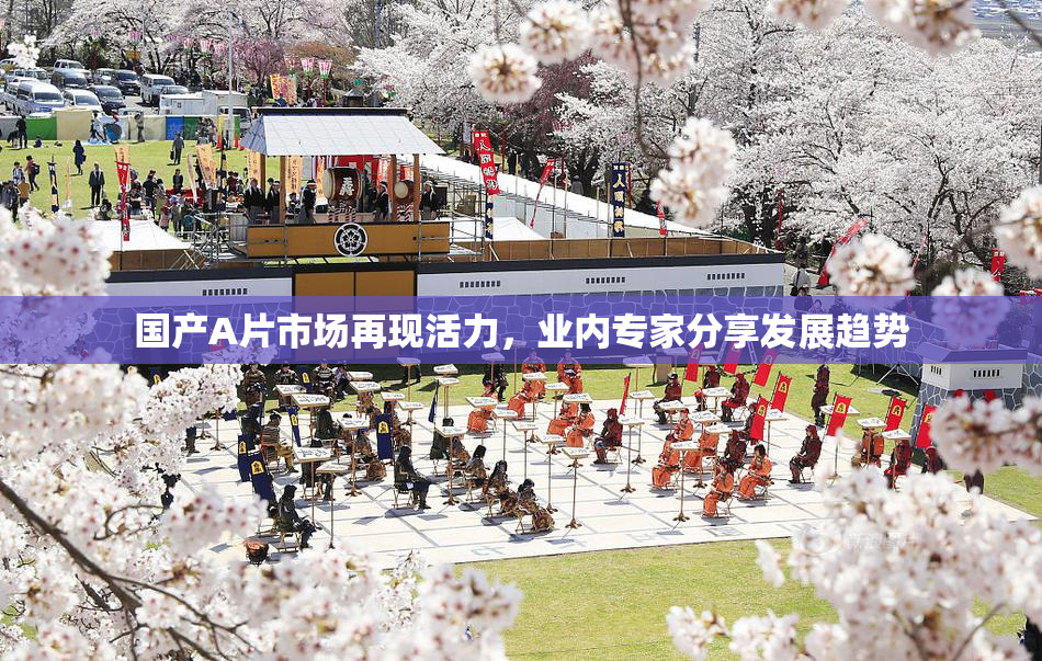 国产A片市场再现活力，业内专家分享发展趋势