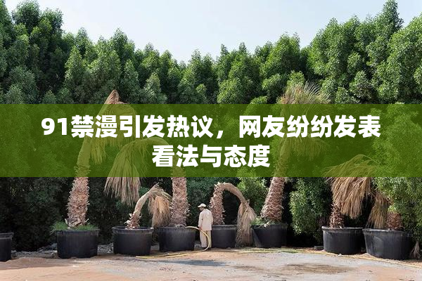 91禁漫引发热议，网友纷纷发表看法与态度