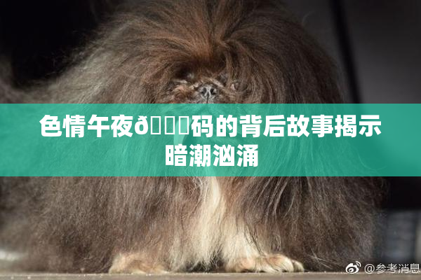 色情午夜🈚码的背后故事揭示暗潮汹涌