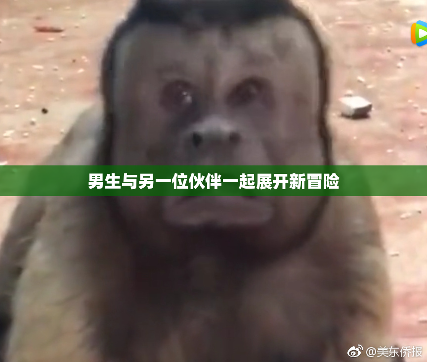 男生与另一位伙伴一起展开新冒险